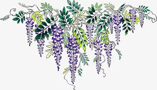 紫色花朵绿叶手绘免抠