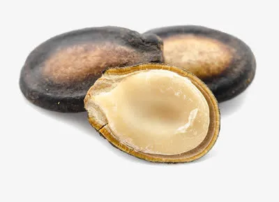 大片的西瓜子免抠