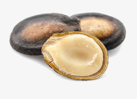 大片的西瓜子免抠