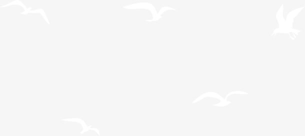 白色漂浮飞鸟免抠