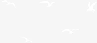 白色漂浮飞鸟免抠