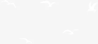 白色漂浮飞鸟免抠