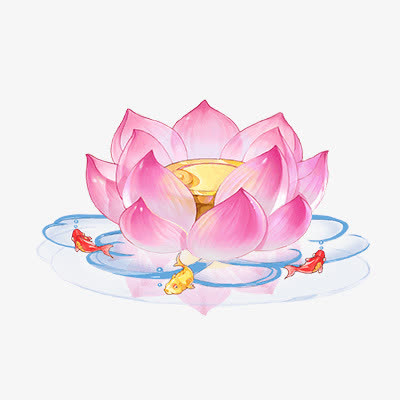 荷花免抠