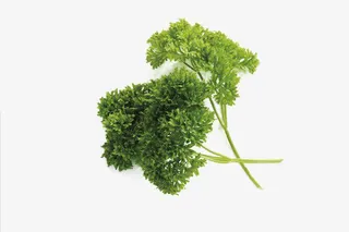 法国香菜欧芹免抠