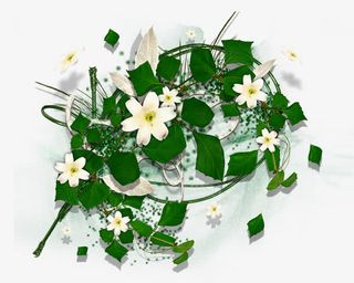 唯美花卉图片鲜花图片 花藤免抠