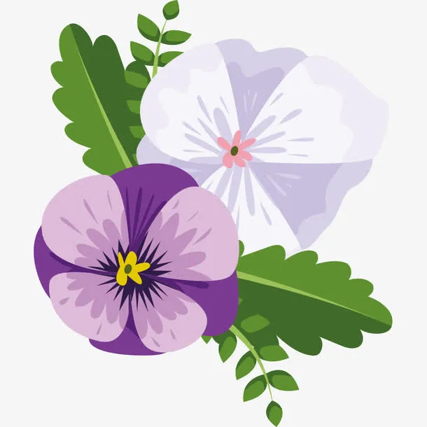 紫色白色的花免抠