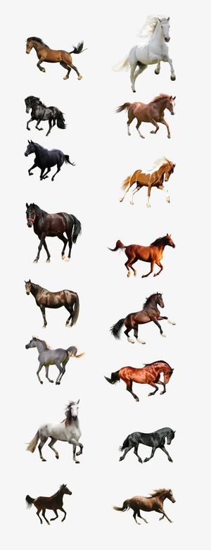骏马免抠素材合集免抠