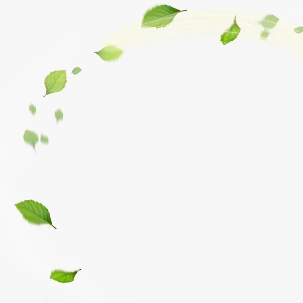 树叶免抠