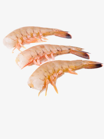 基围虾虾尾实物图免抠