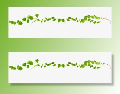 树藤藤蔓绿叶免抠装饰植物元素