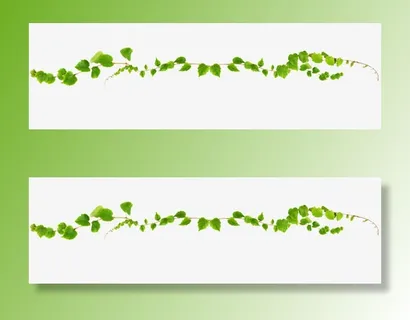 树藤藤蔓绿叶免抠装饰植物元素