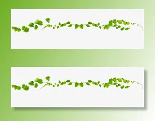 树藤藤蔓绿叶免抠装饰植物元素