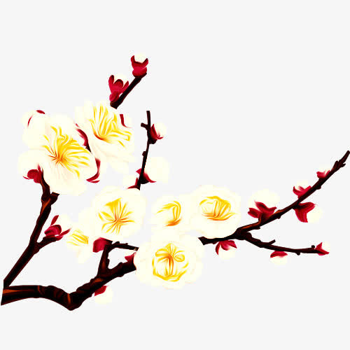 梅花免抠