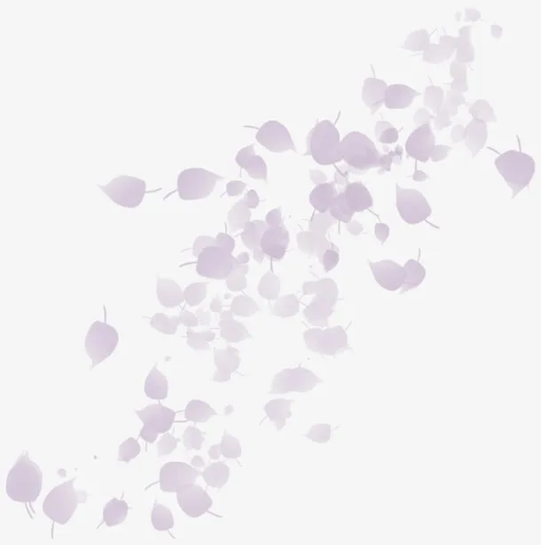 漂浮花瓣免抠