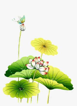 荷花免抠