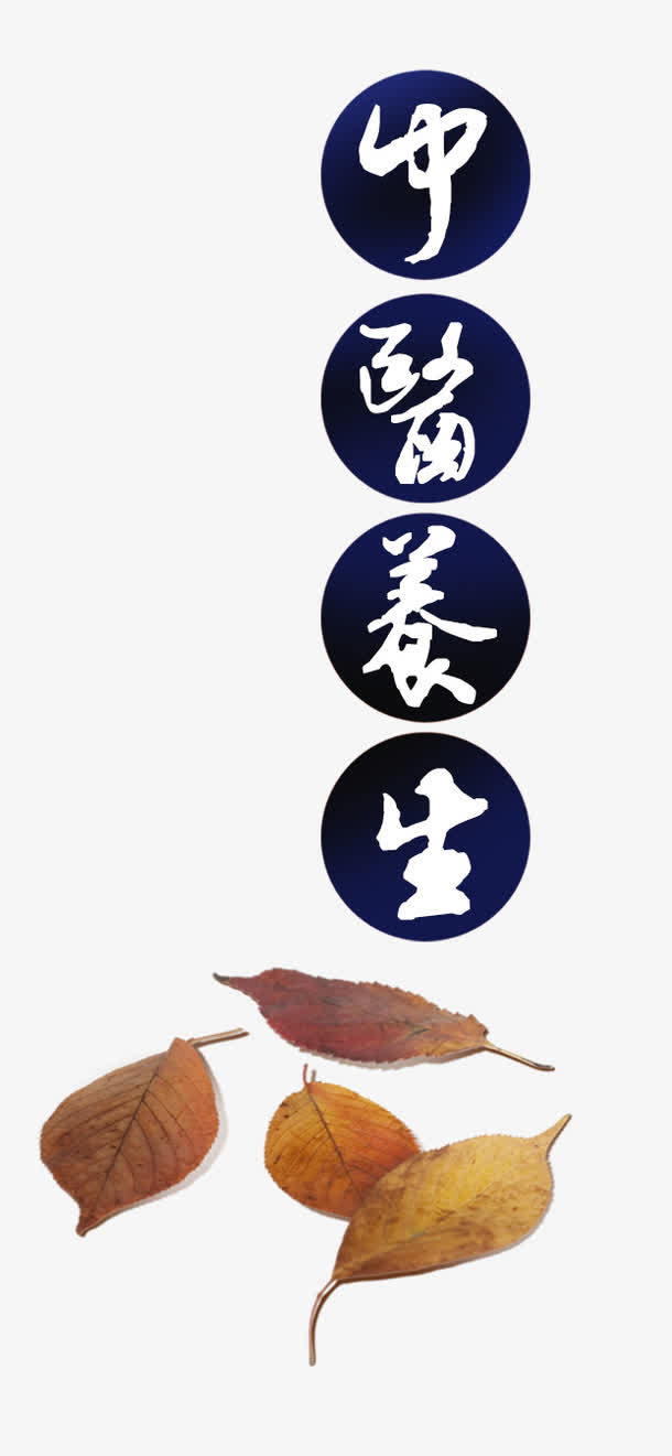 圆底中医养生免抠