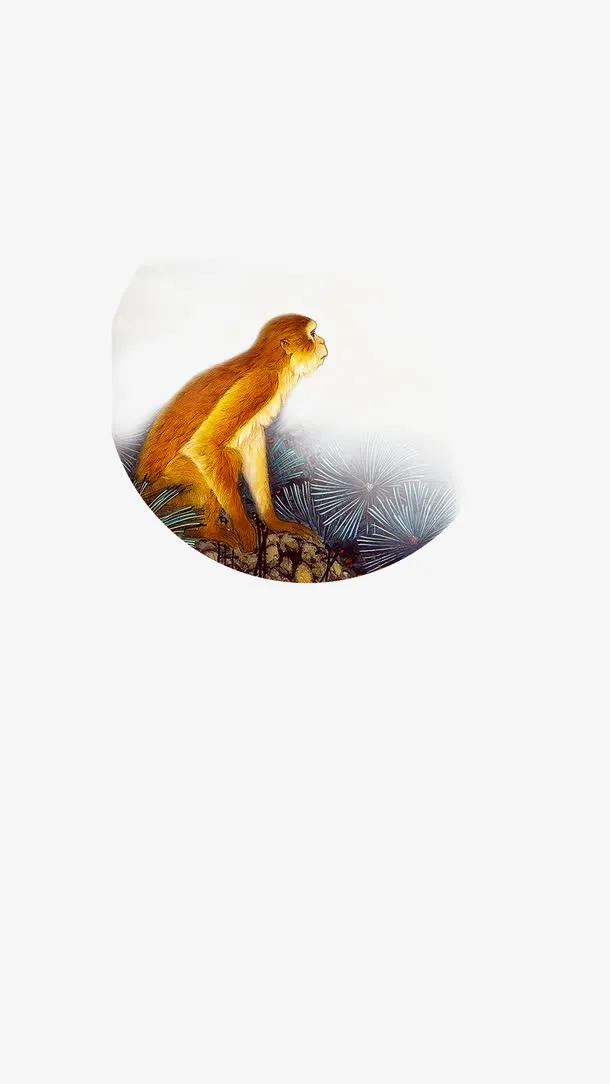 小金猴图案免抠
