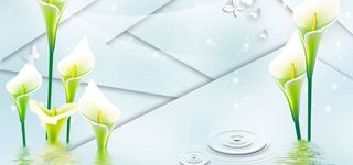 百合花倒影立体3d背景高清