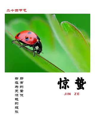 二十四节气惊蛰海报高清