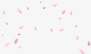 漂浮花瓣免抠