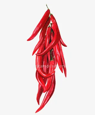红辣椒免抠