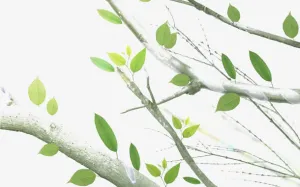 树枝免抠