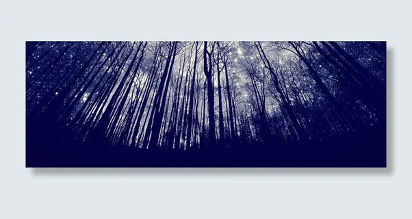 星光森林背景高清 星光森林背景高清