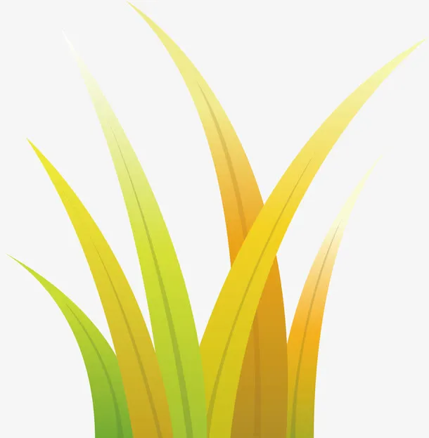 农场麦苗免抠