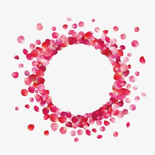 圆形花瓣花环装饰花瓣免抠