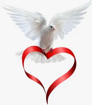 送爱心的白鸽免抠装饰动物元素