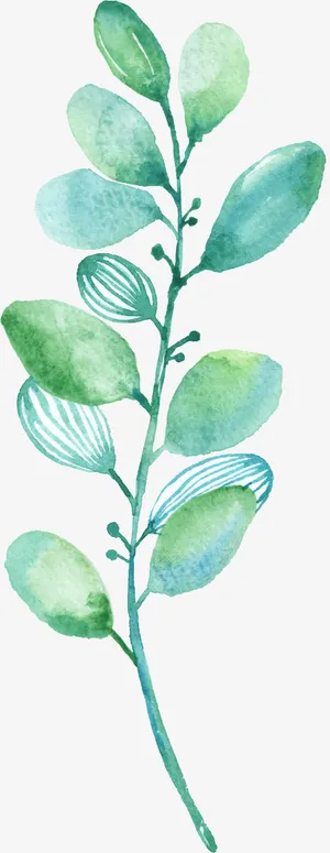 绿色水彩画草|树叶4免抠 绿色水彩画草|树叶4免抠