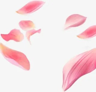 粉红花瓣装饰漂浮免抠