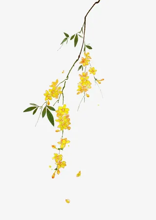 手绘黄色花树枝免抠
