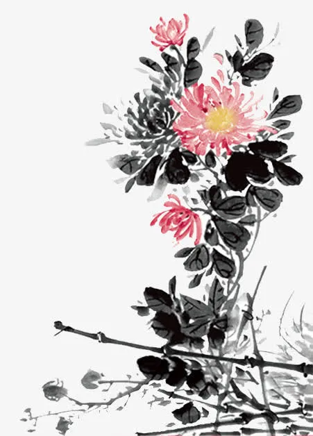 重阳花免抠