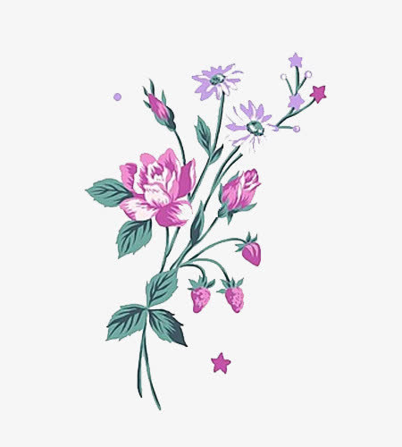 花朵素材免抠