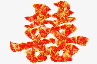 红双喜图片免抠