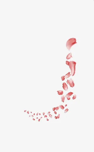漂浮花瓣免抠