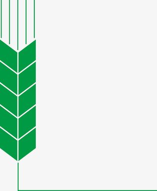 绿色麦穗线条矢量图免抠手绘/卡通卡通元素