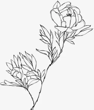 水墨花朵元素76免抠