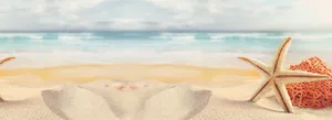 淘宝背景高清