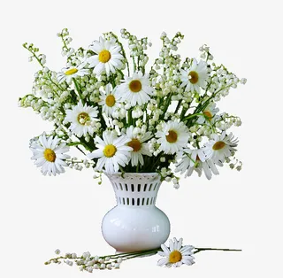 花草矢量素材花草素材免抠