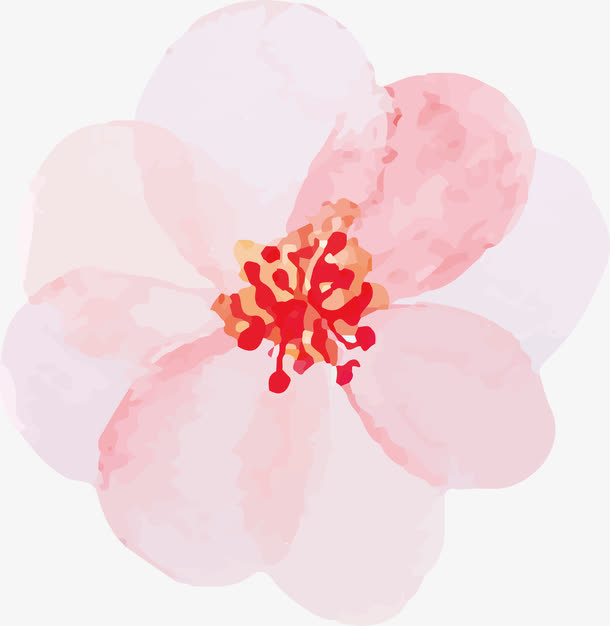 绽放的花PNG下载免抠