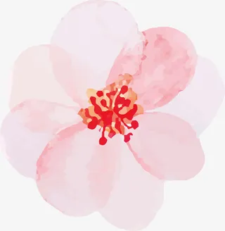 绽放的花PNG下载免抠