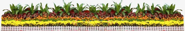 景观林园庭院花坛花圃免抠