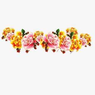 毛主席诞辰纪念牡丹花免扣图免抠