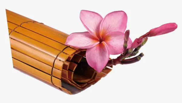 竹简花朵免抠