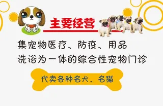 宠物店宣传单简约免抠