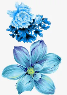 蓝色牡丹花免抠