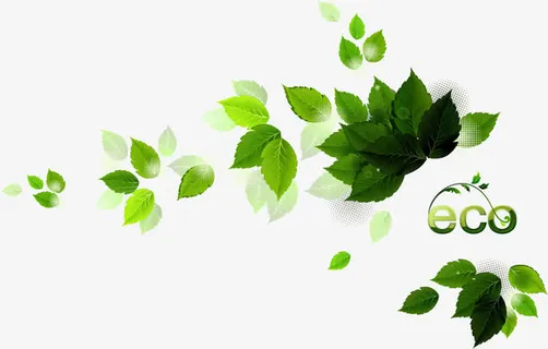 春天树叶免抠动植物植物元素 春天树叶免抠动植物植物元素