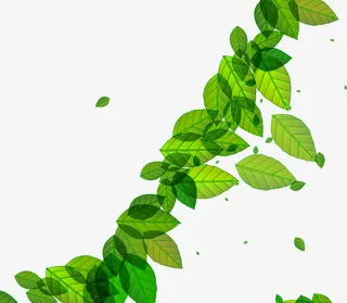 矢量飘落的树叶免抠